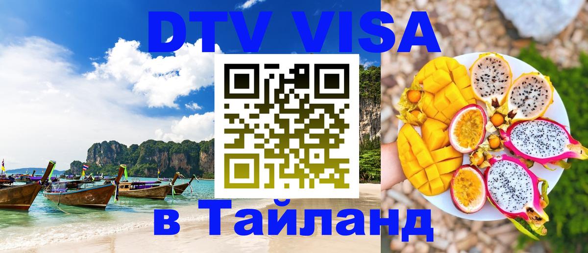 Сколько стоит DTV виза — актуальные цены, оформление даже без документов - Саратов  08.01.2026 